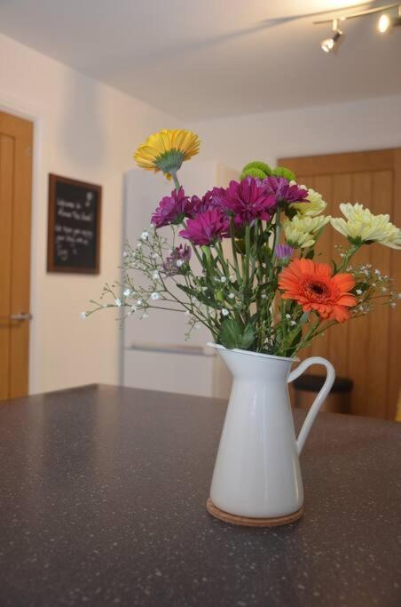Apartment Round The Bend, An Annexe In The Quiet Village Of Odcombe Montacute